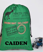 Christmas Santa Gift Sack (Green) - FREE SHIPPING - Something Sweet Party Favors LLC